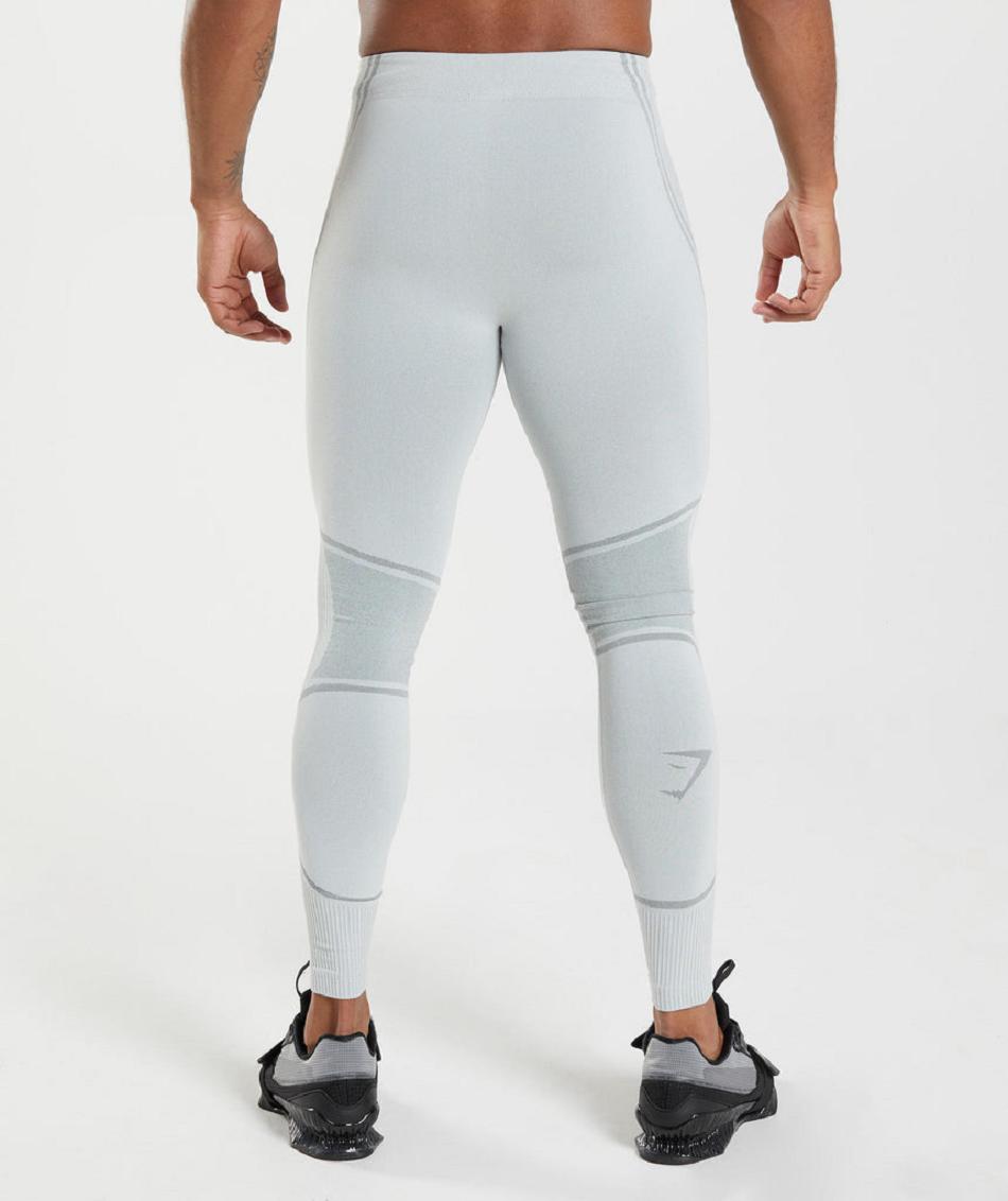 Gymshark 315 Seamless Muške Hulahopke Svijetlo Sive Sive | HR 2172PJJ